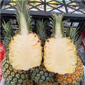 广东-菠萝（31-34斤/箱） 