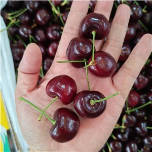 美国-车厘子 9R（10-11斤/箱） 