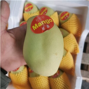 越南-高乐蜜芒果（9-10斤/箱，12头/箱） 