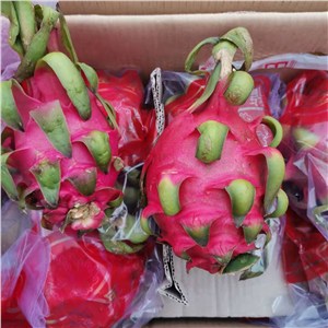 越南-红肉火龙果 大果 三级（30-34斤/箱，20-28头/箱） 