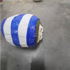 【特价】越南-菠萝蜜（8-10斤/个） 