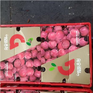 智利-樱桃李 4J二合一 （10-11斤 /箱） 