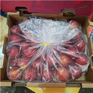 智利-樱桃李 4J（5斤/箱） 