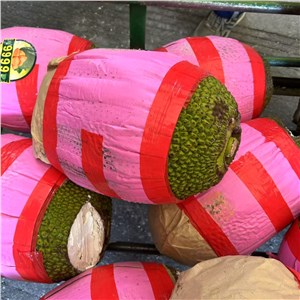 越南-菠萝蜜 大果 一级（17-20斤/个） 