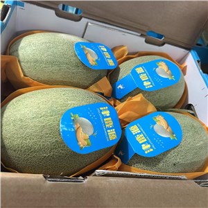 海南-晓蜜瓜 大果（18-20斤/箱） 