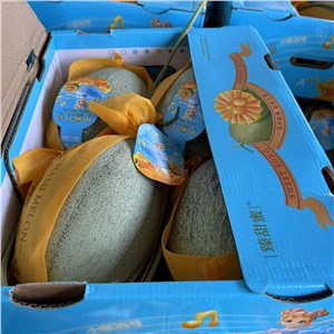 【HD】海南-晓蜜 中大果 一级（15-17斤/箱，4头/箱） 