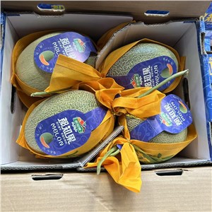 【HD】海南-晓蜜 40#一级（12-14斤/箱） 