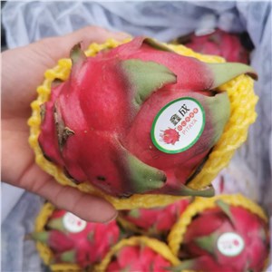 海南-蜜宝火龙果 50#（29-31斤/箱） 