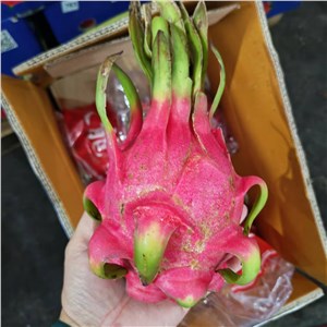 越南-南哥红心火龙果 二级（31-34斤/箱） 