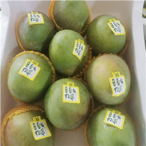 四川-攀枝花即食凯特芒（22-25斤/箱） 