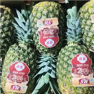 菲律宾-佳农凤梨（26-29斤/箱，5头/箱） 