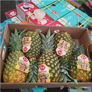 菲律宾-佳农凤梨（26-29斤/箱，5头/箱） 