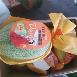 海南-晓蜜瓜 高箱（32-34斤/箱，10头） 