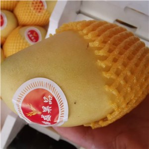 越南-高乐蜜芒果（10-11斤/箱，12头/箱） 