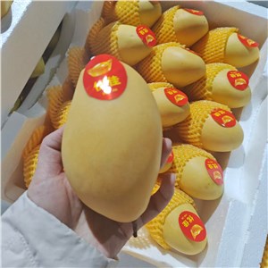 越南-高乐蜜芒果（9-11斤/箱，15头/箱） 
