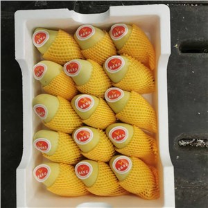 越南-高乐蜜芒果（9-11斤/箱，15头/箱） 