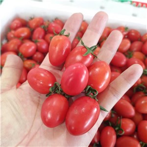 广西-千禧（7-9斤/箱） 