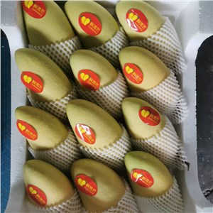 越南-金煌芒 精品（13-15斤/箱，12头） 