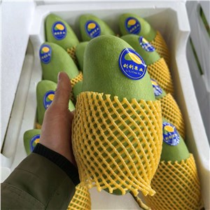 越南-大青芒 精品（19-21斤/箱） 