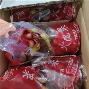 【特价】越南-红肉火龙果（31-33斤/箱） 