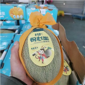 海南-沙地晓蜜瓜40# 精品（14-15斤/箱） 