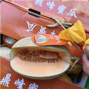 海南-沙地晓蜜瓜40#（13-15斤/箱） 