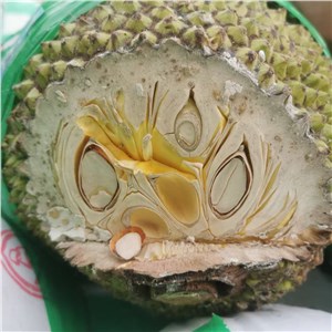 越南-菠萝蜜 小果（9-11斤/个） 