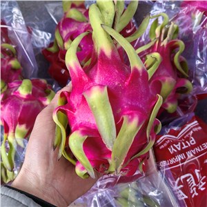 越南-红肉火龙果 一级（30-31斤/箱） 