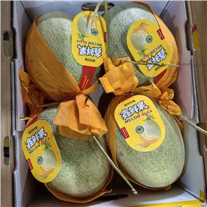 【彪哥】海南-精品晓蜜瓜44#（19-21斤/箱） 