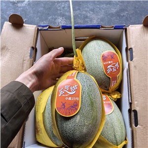 【彪哥】海南-精品晓蜜瓜44#（19-21斤/箱） 