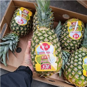 【老张】菲律宾-佳农凤梨（26-29斤/箱，6头/箱） 