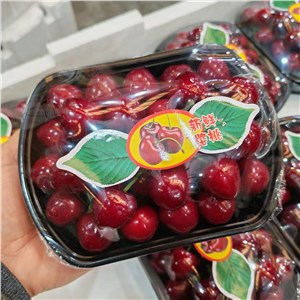 【老张】山东-美早樱桃 小果（5-6斤/箱） 
