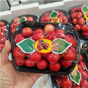 【老张】山东-红灯樱桃 大果（5-6斤/箱） 