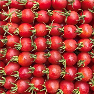 【彪哥】广东-电白千禧 中果（5-6斤/箱） 