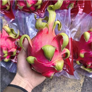 【彪哥】越南-红肉火龙果 二级（30-31斤/箱） 