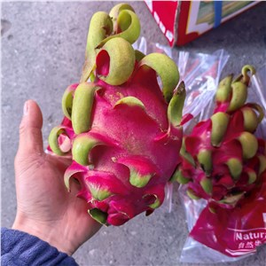 【彪哥】越南-红肉火龙果 二级（30-31斤/箱） 