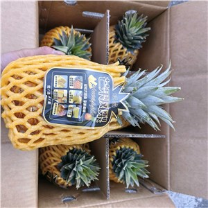 【彪哥】海南-芒果凤梨（15-16斤/箱） 