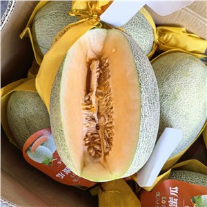 【彪哥】海南-精品晓蜜瓜 高箱（39-41斤/箱） 