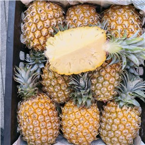 【彪哥】广东-菠萝 小果（29-31斤/箱） 