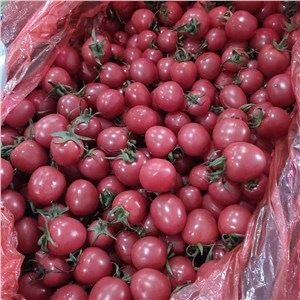 【特价】山东-千禧果（14-16斤/箱） 