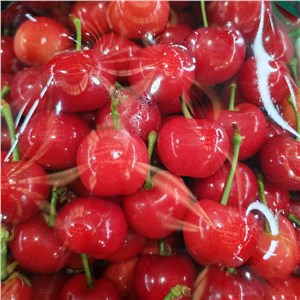 【老张】山东-红灯樱桃 大果（6-7斤/箱） 