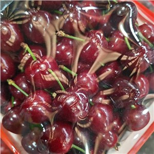 【老张】山东-美早樱桃 大果（6-7斤/箱） 