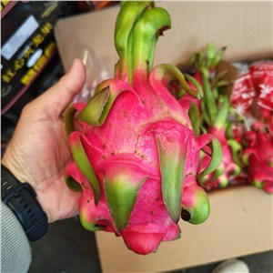 【老张】越南-红肉火龙果 二级（29-32斤/箱） 