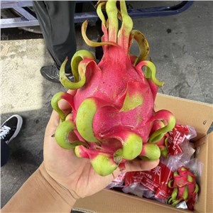 【阿汤】越南-红肉火龙果 三级（26-32斤/箱） 