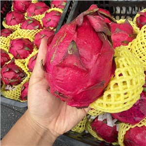 【阿汤】海南-金都1号红肉火龙果 50#（28-30斤/箱） 