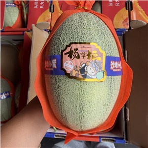 【阿汤】山东-杨掌柜晓蜜25号 42#（16-18斤/箱） 