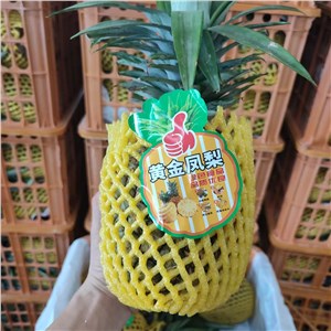 【铎】海南-黄金凤梨 大果（38-40斤/箱） 