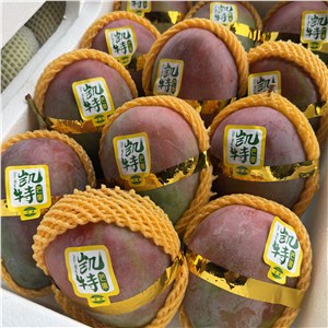 【阿汤】四川-红凯特芒 一级（14-16斤/箱） 
