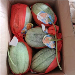 【彪哥】山东-精品晓蜜瓜  高箱（39-41斤/箱） 