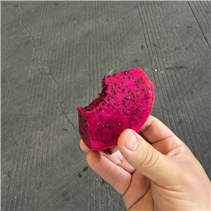 【阿汤】海南-金都一号红心火龙果 40#（28-30斤/箱） 